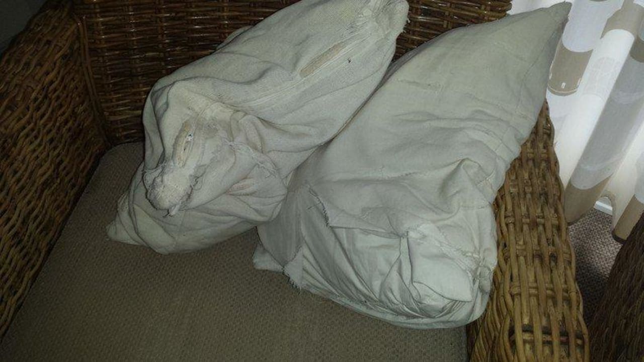 Sofakissen Novasol Ferienhäuser