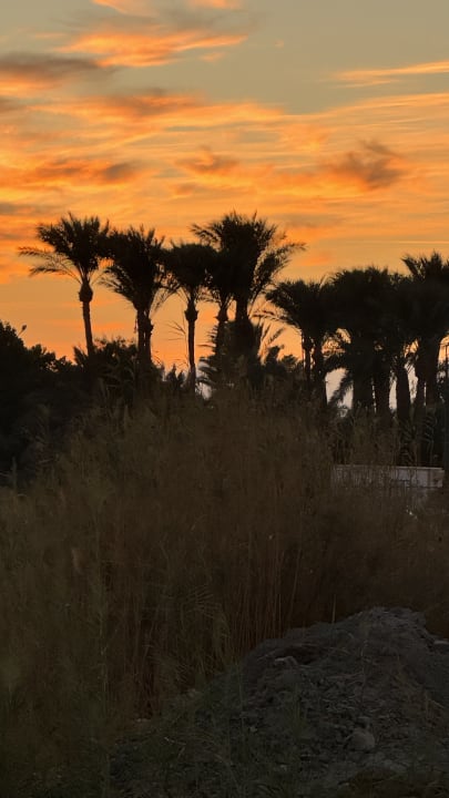 Ausblick Steigenberger Aqua Magic