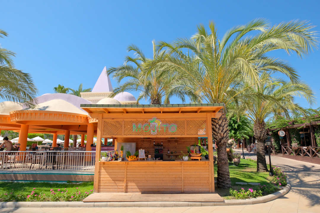 Sonstiges Kamelya Aishen Club