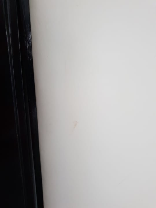 Zimmer Hotel Viva Dominicus Beach by Wyndham - All Inclusive Resort