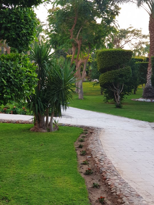 Gartenanlage LABRANDA Royal Makadi
