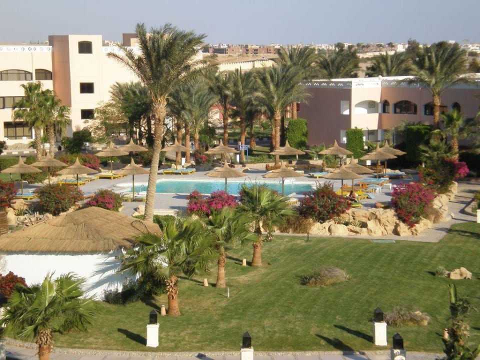 Gartenanlage / Pool Beach Albatros Resort