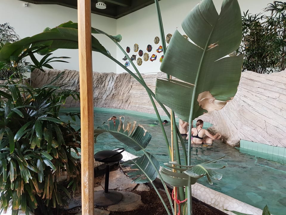 Pool Center Parcs Park Allgäu