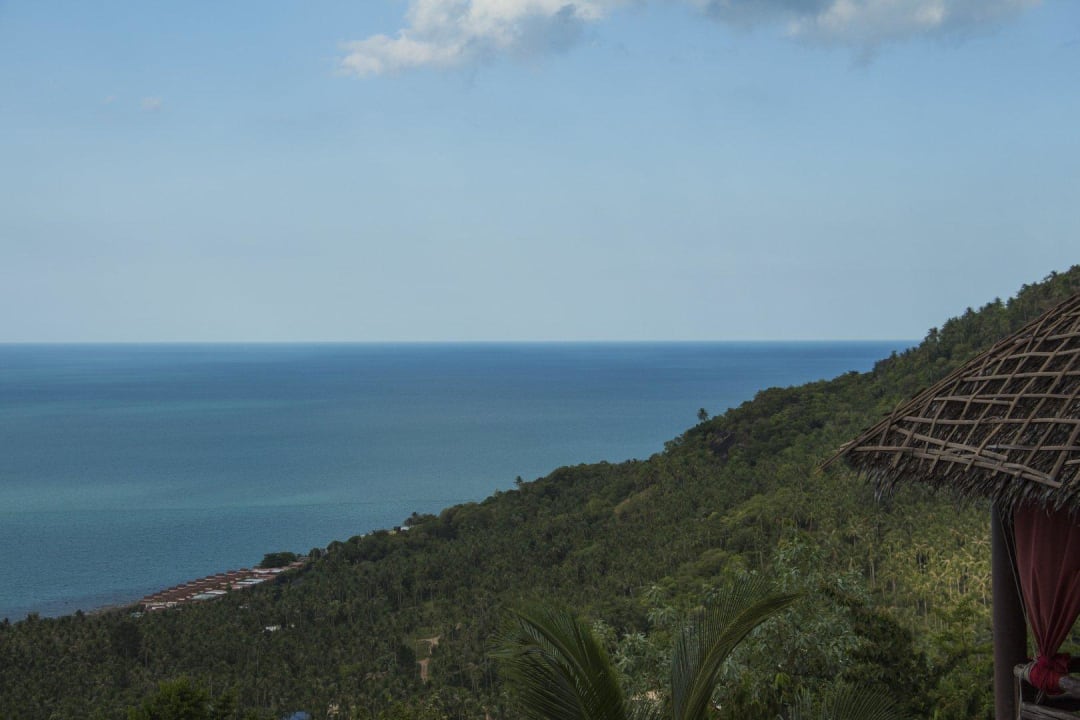 Mega Aussicht. Hotel The Jungle Club