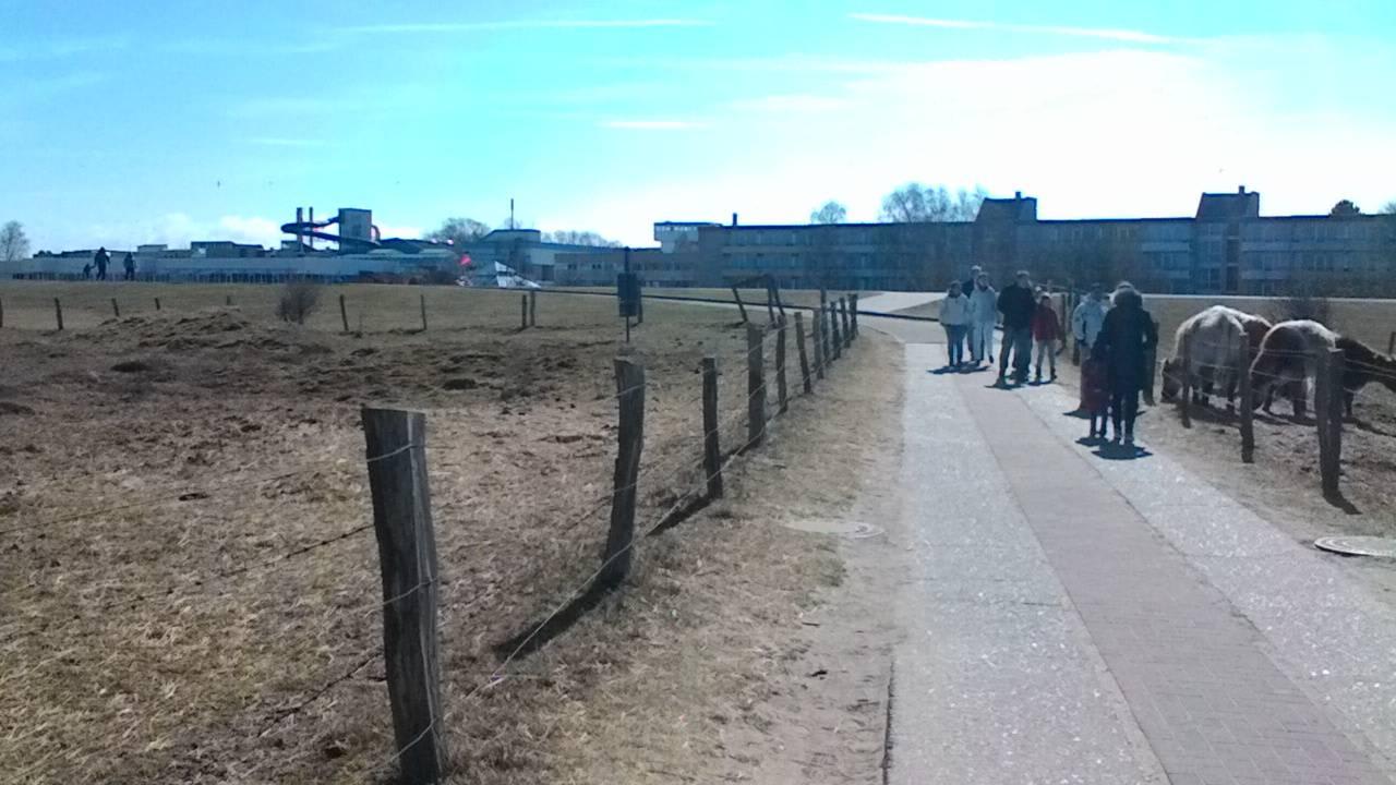 Kurzurlaub Ferienwohnungen Ferienpark Weissenhäuser Strand