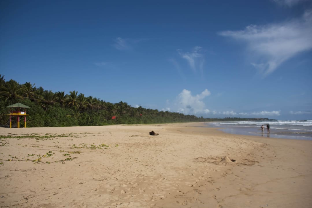 Strand vor dem Hotel Club Bentota Hotel Club Bentota