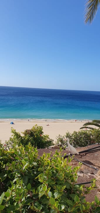 Ausblick Hotel Riu Palace Jandia