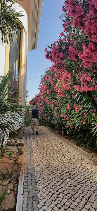 Gartenanlage Hotel Luzmar Villas
