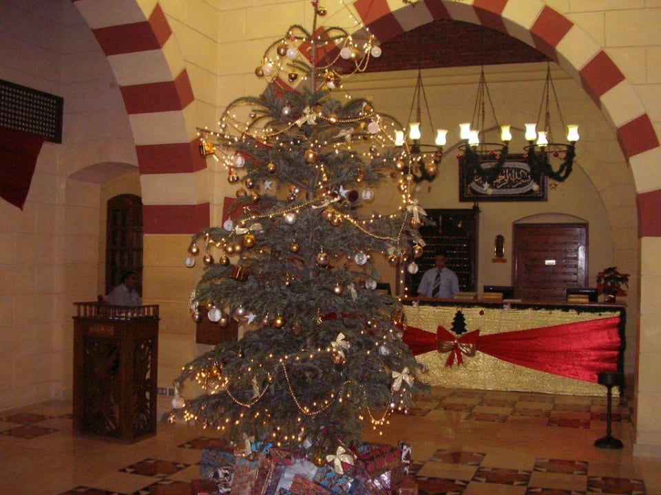 Weihnachtsbaum Jaz Makadina