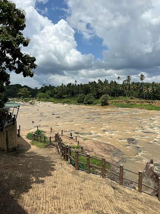 Ausblick Hotel Pinnalanda - NEW DEAL! Exclusive Offers on Pickups Available!