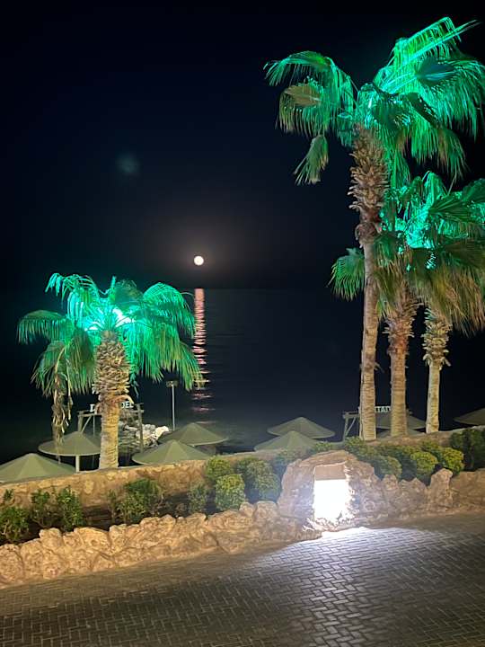 Ausblick Pickalbatros Citadel Resort