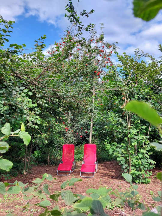 Gartenanlage Ferienhof Babel