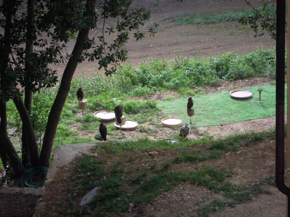 Falken Villa Poggio Bartoli