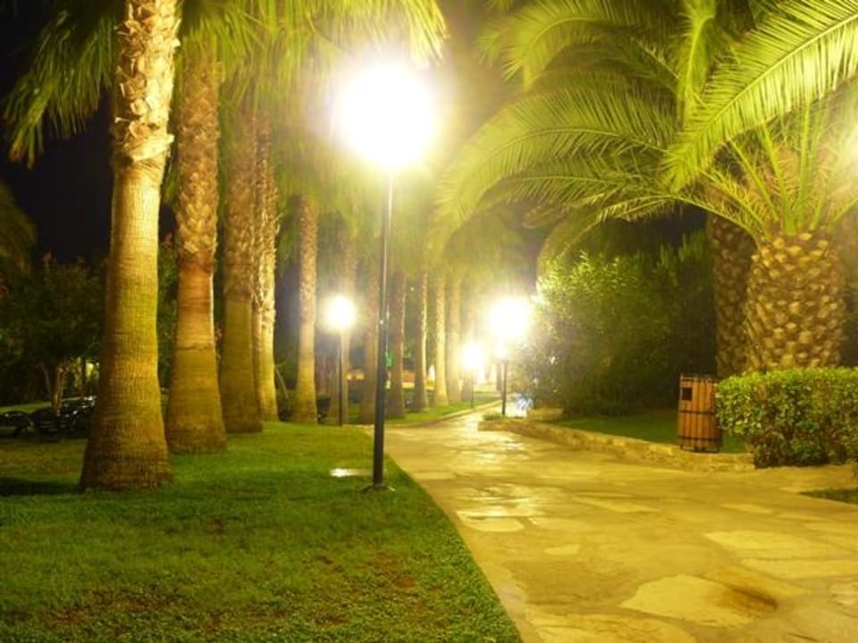 Weg zum Strand Nachts (Beachbar) Arum Barut Collection