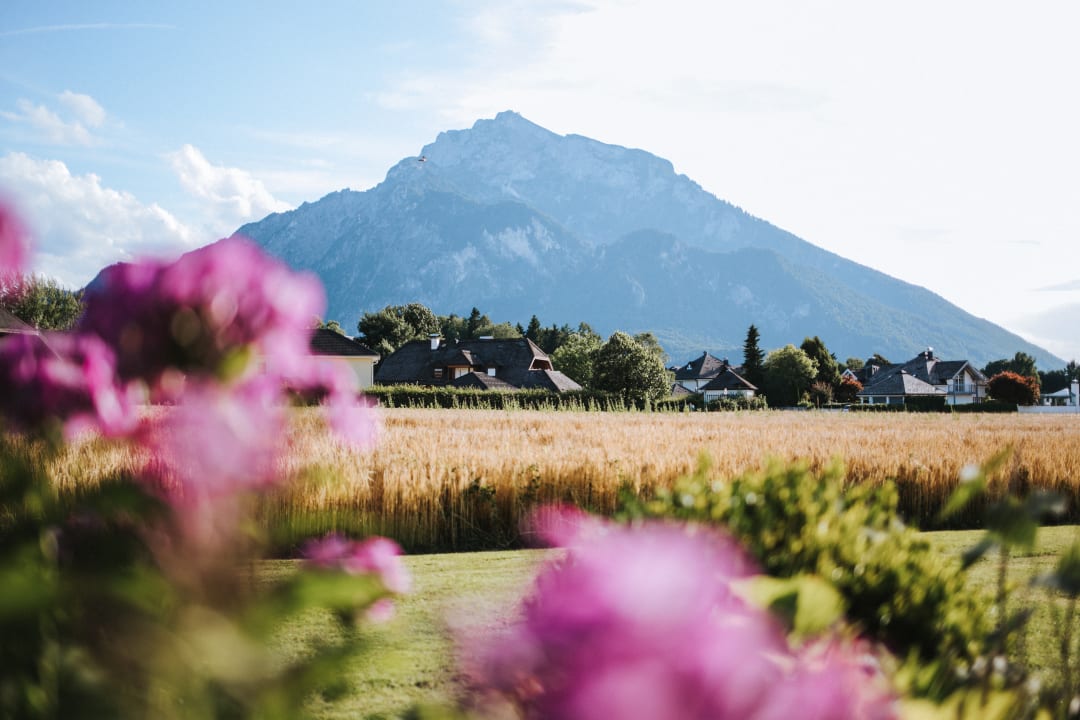 Ausblick Friesachers Aniferhof