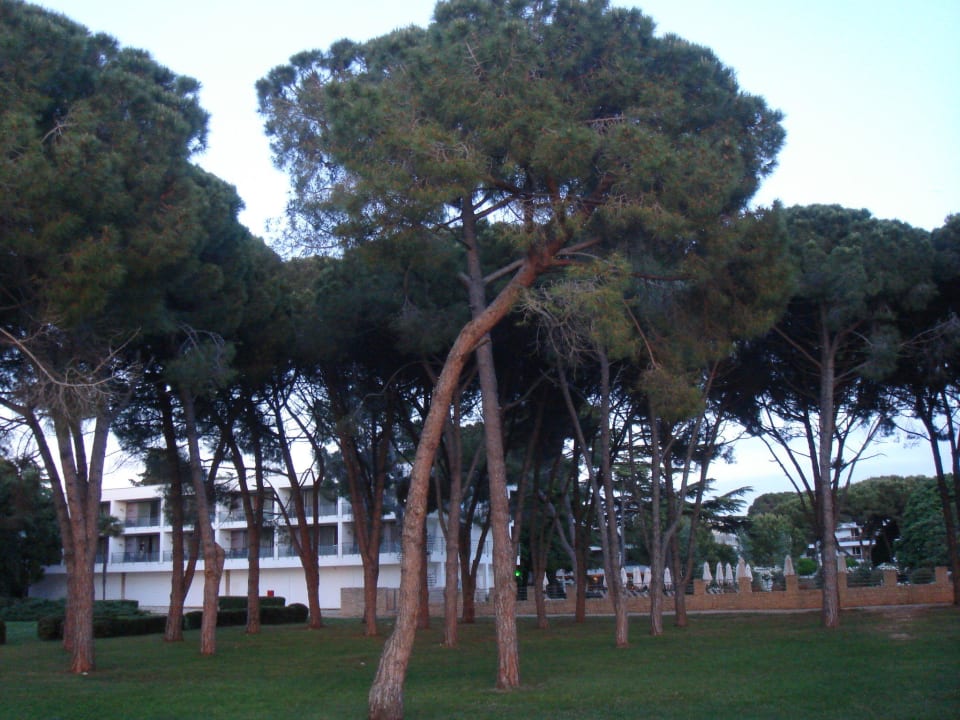 Mai'13 Blick vom Meer auf das Hotel Falkensteiner Hotel Adriana
