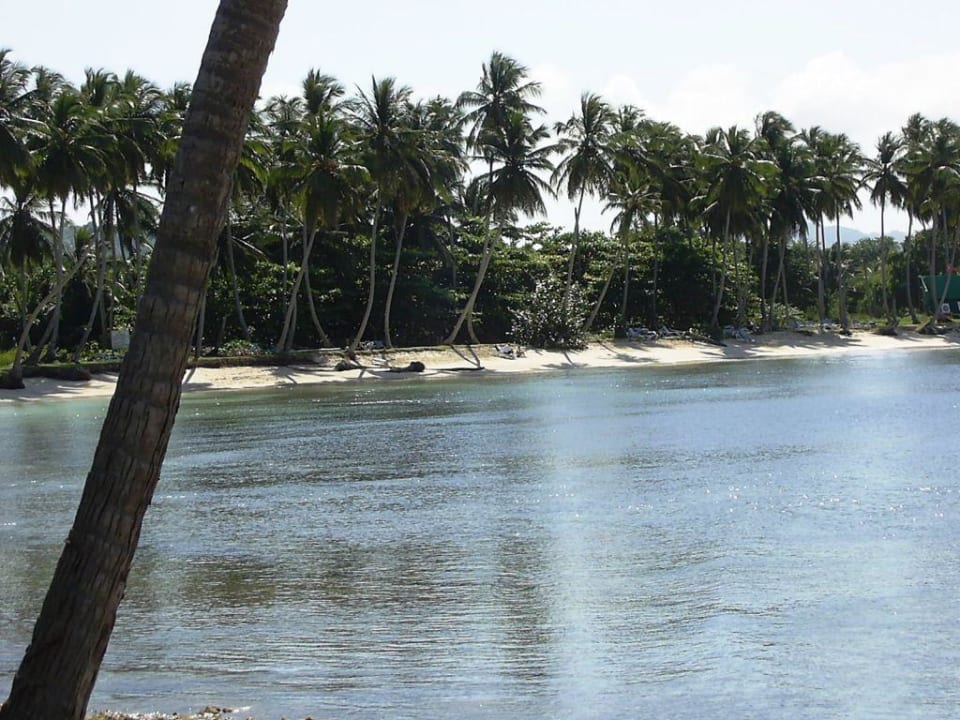 Inselspaziergang4 Wyndham Alltra Samana