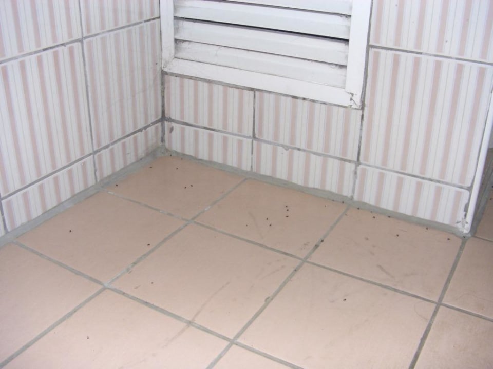 Dusche  Greenwood Kemer Resort