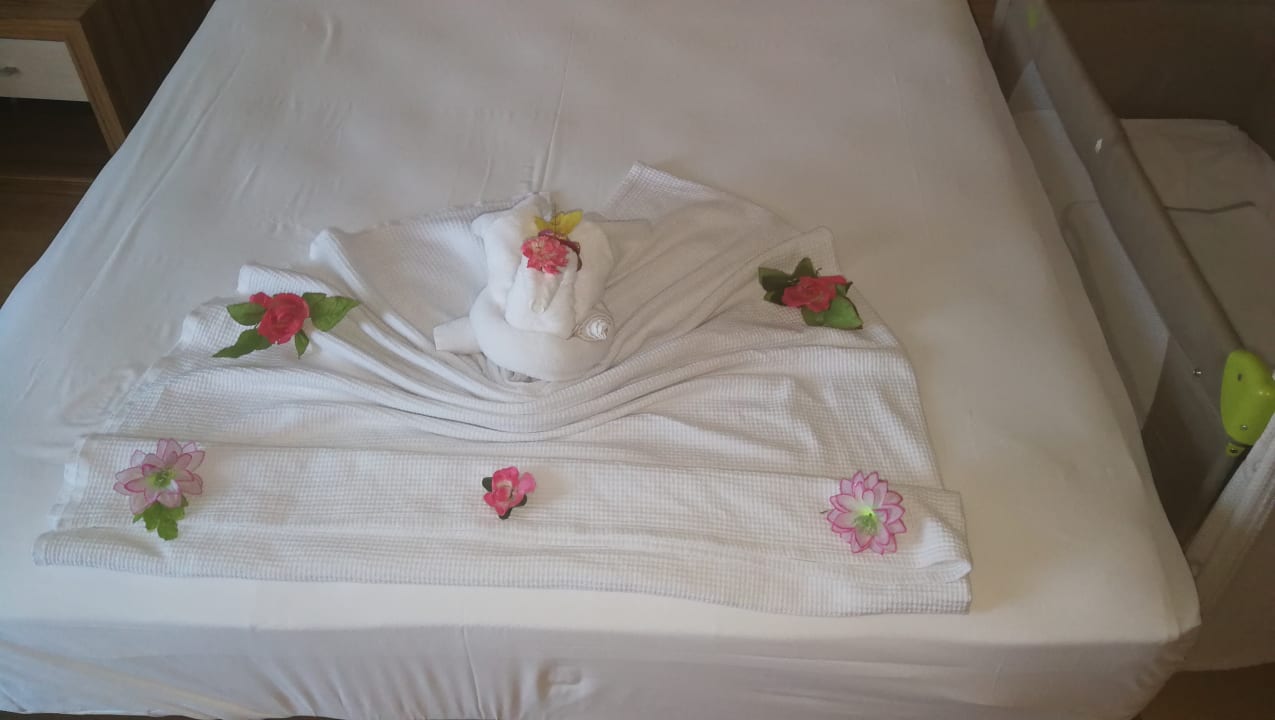 Zimmer Calimera Hane Garden