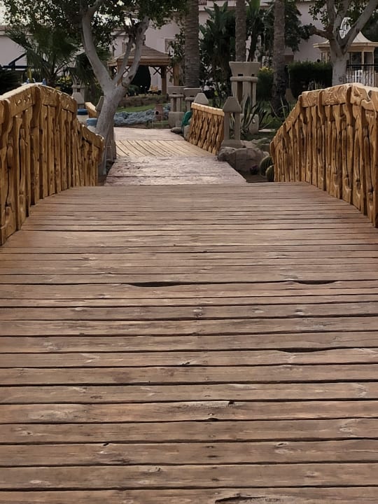 Gartenanlage Parrotel Lagoon Waterpark Resort