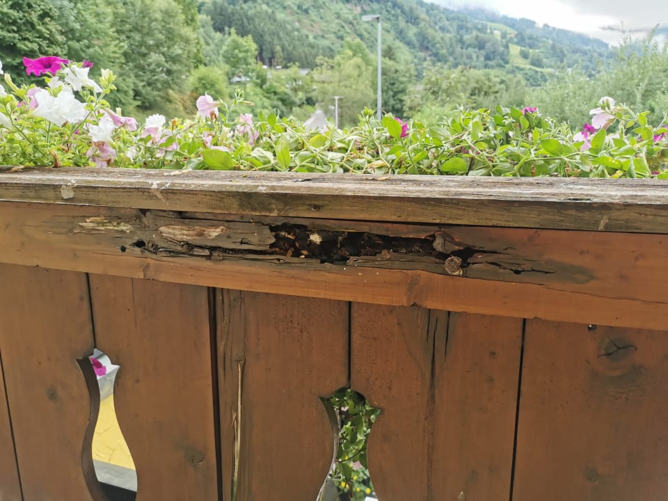 Zimmer Hotel Ferienparadies Lerch