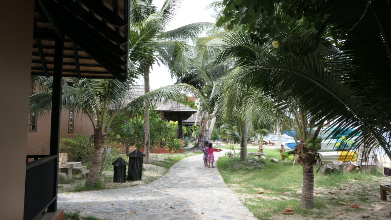 Gartenanlage Koh Tao Beach Club
