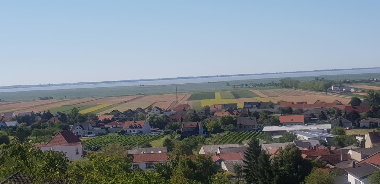 Ausblick Weingut & Gästehaus zum Seeblick - Familie Sattler