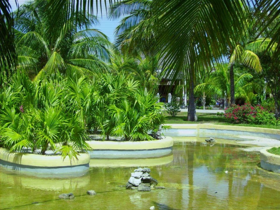 Gartenanlage Hotel Cayo Largo del Sol