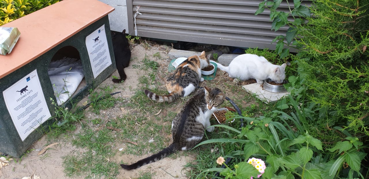 Sonstiges Seaden Valentine Resort & Spa