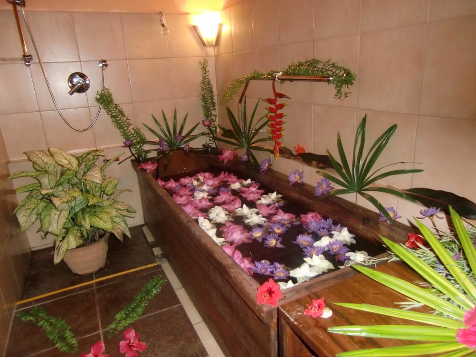 Blumenbad Spring of Life Ayurveda Resort