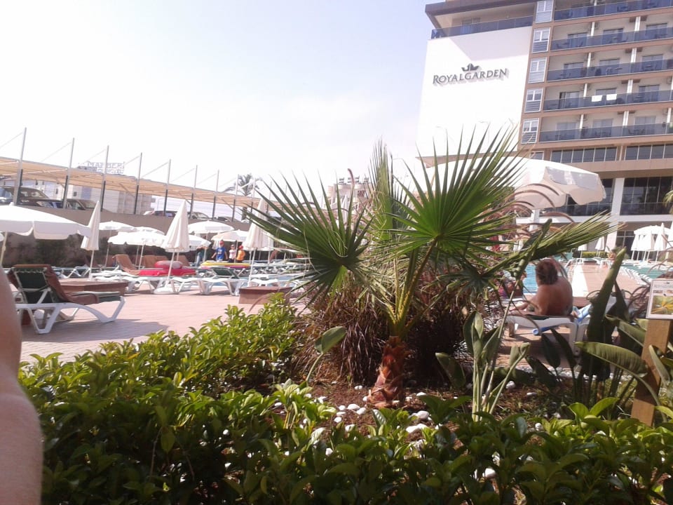 Uitzicht bij de bleu bar Hotel Royal Garden Beach