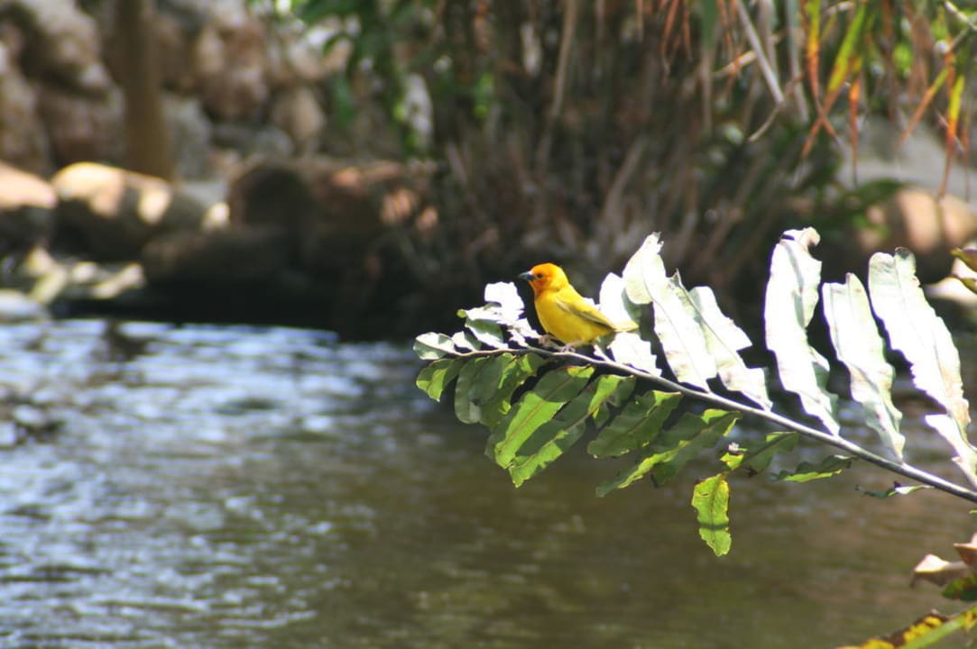 Neuer Teich Bahari Beach Hotel