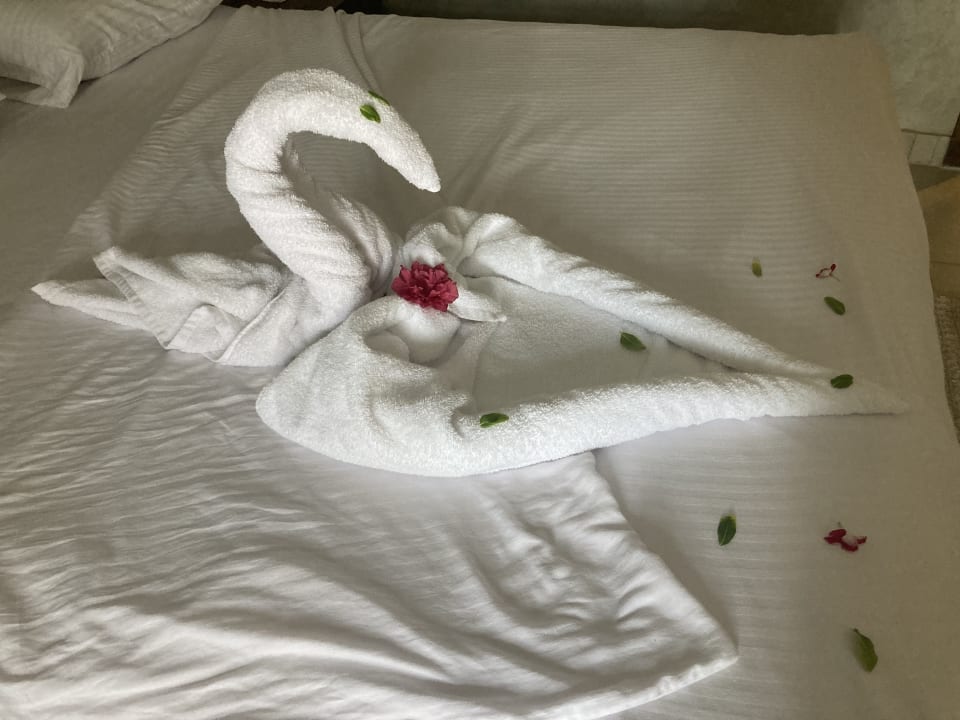 Zimmer True Beach Resort