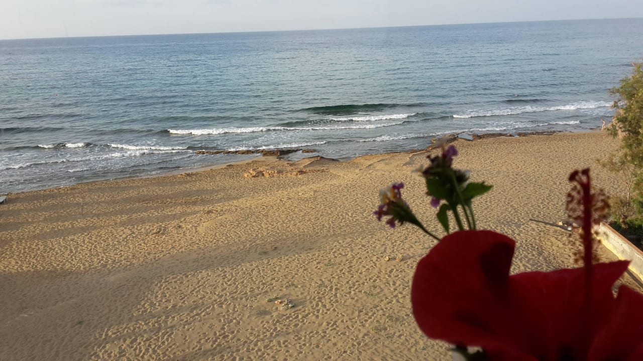 Vom Meerblick-Balkon rechts seitlich  allsun Hotel Carolina Mare