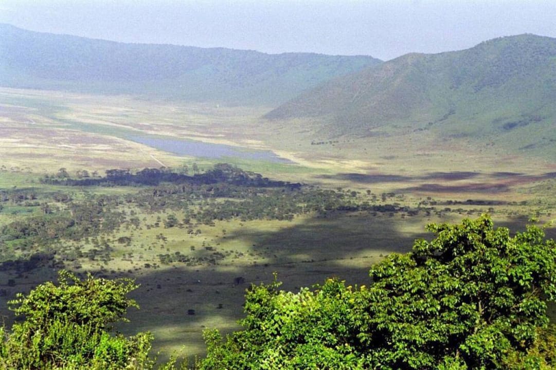 Ngorongoro Serena Lodge Hotel Ngorongoro Serena Safari Lodge