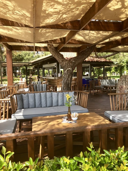 Gastro TUI MAGIC LIFE Beldibi +16