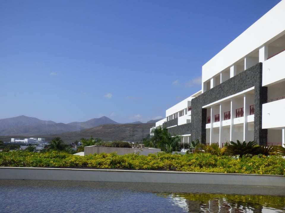 Vom Bar ausgenommen Hotel Costa Calero