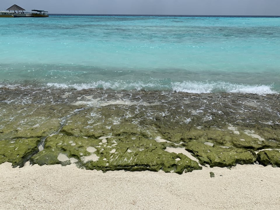 Strand Summer Island Maldives