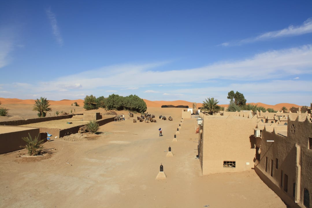 Blick vom Dach auf wartende Kamele und Wüste Hotel Kasbah Mohayut