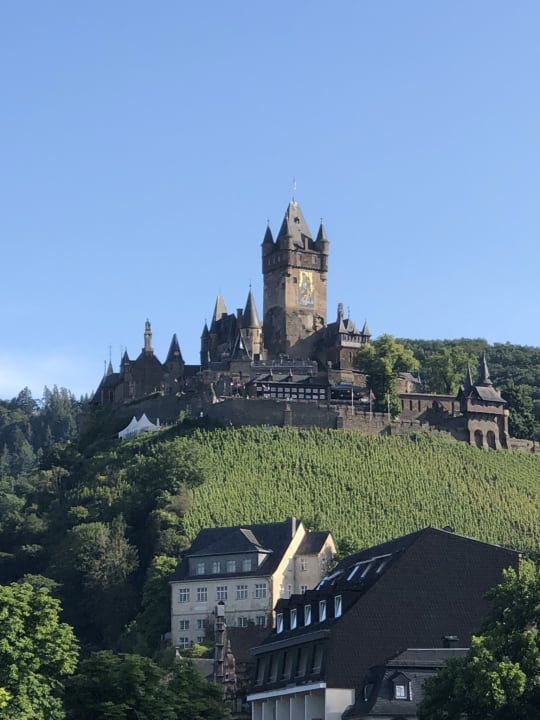 Ausblick Moselstern Hotel Brixiade & Triton