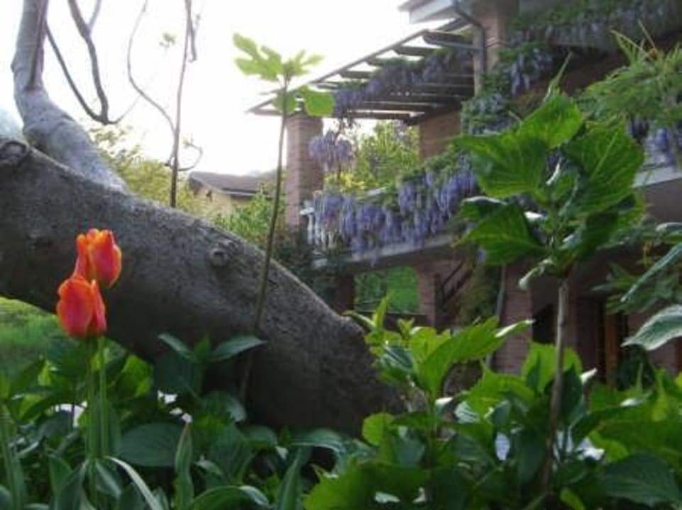 Esterno Agriturismo Doremi B&B Farm