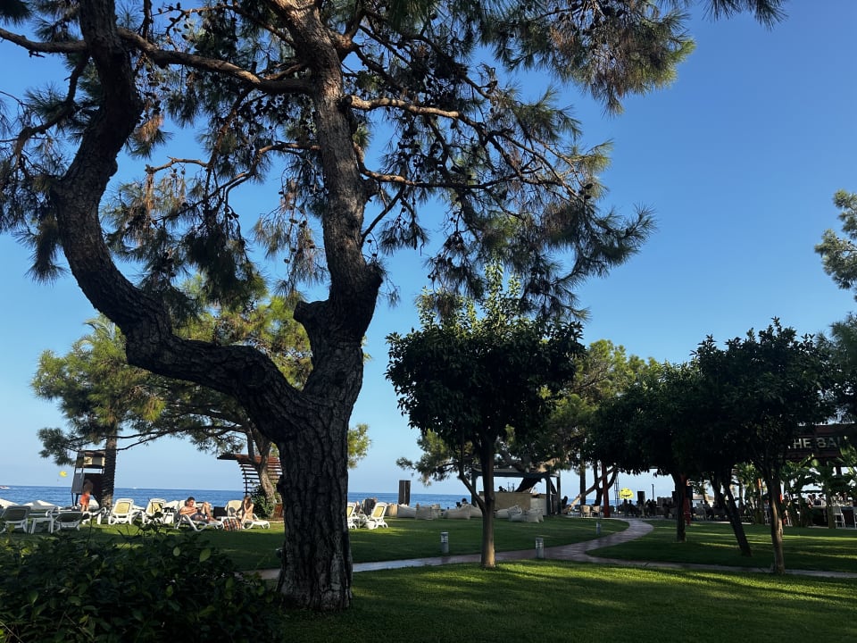 Ausblick TUI MAGIC LIFE Beldibi +16