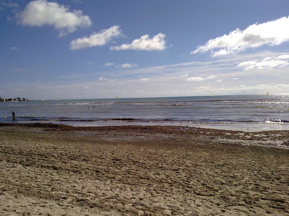 Algenplage Royal Karthago Djerba