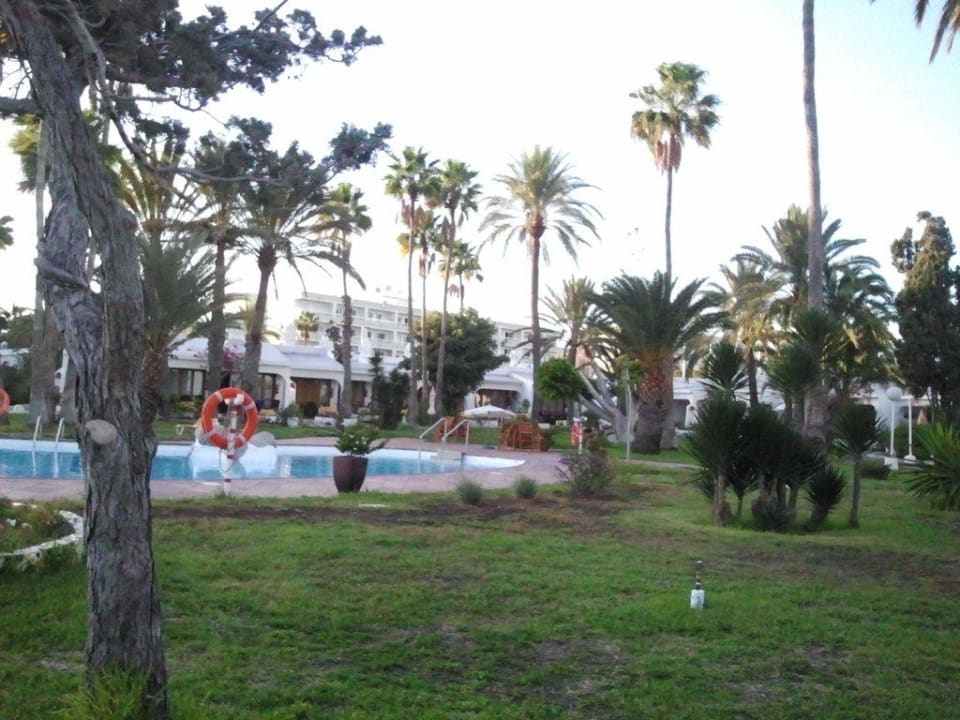 Blick auf den Pool Sahara Beach Club