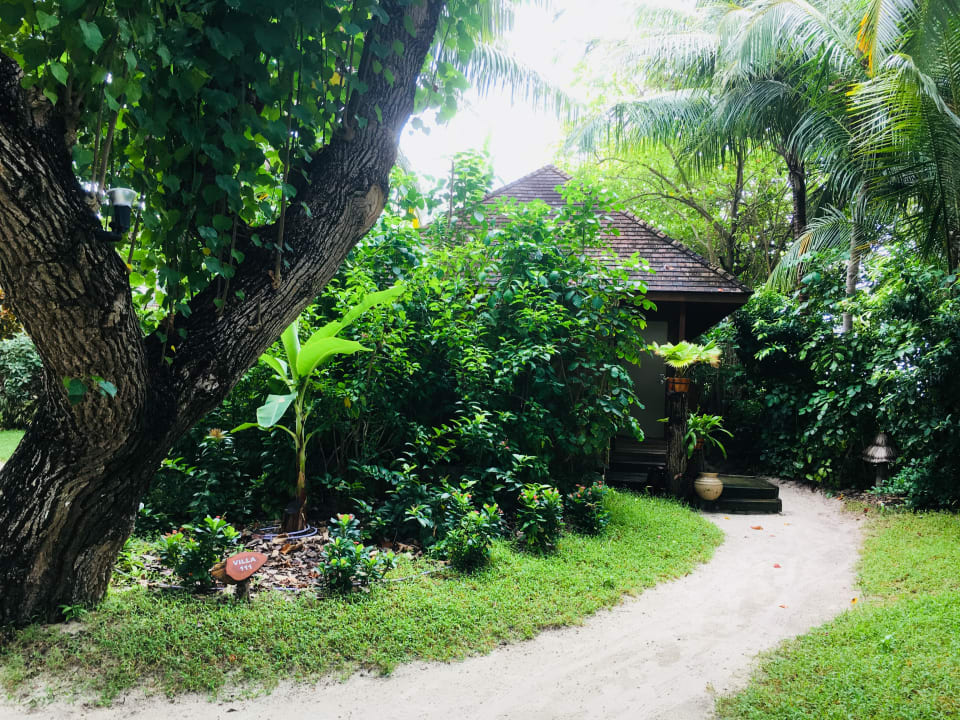 Gartenanlage Veligandu Maldives Resort Island