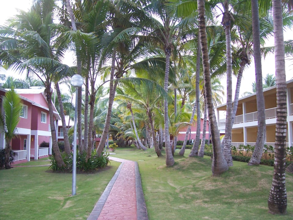 Villen der 60er Blöcke  Grand Palladium Punta Cana Resort & Spa