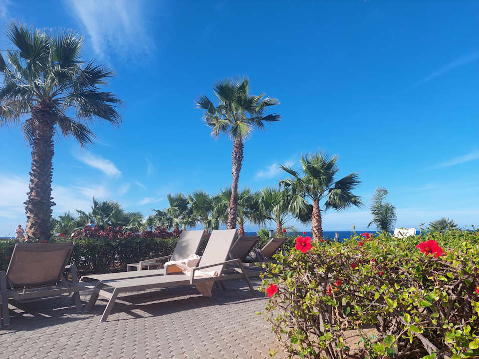 Pool Hotel Riu Buenavista