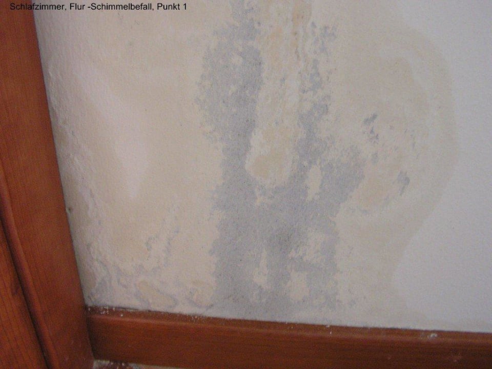 Schimmel in den Wänden Residence Eden