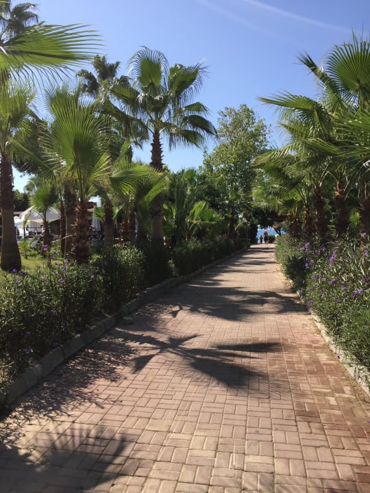 Weg zum Strand Seaden Corolla Hotel
