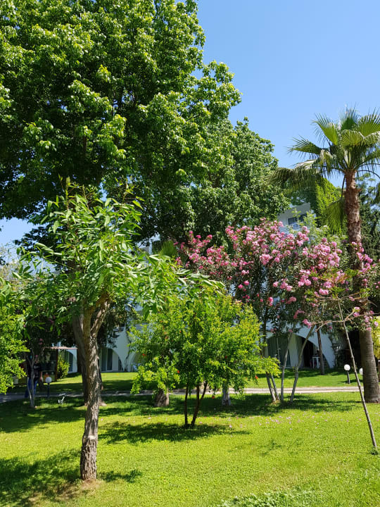 Gartenanlage Labranda Alantur Resort